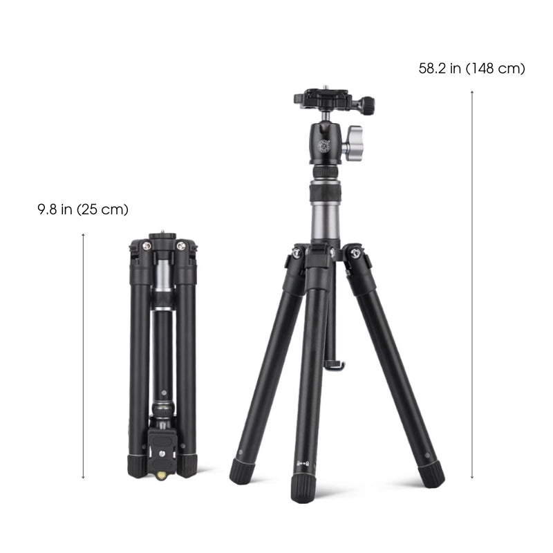 ArtMate - Handgemaakte walnotenhouten kunstset (Meestereditie)